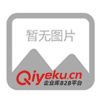 供應瓦倫蒂仕男裝T恤、休閑時尚T恤 男式T恤 服裝